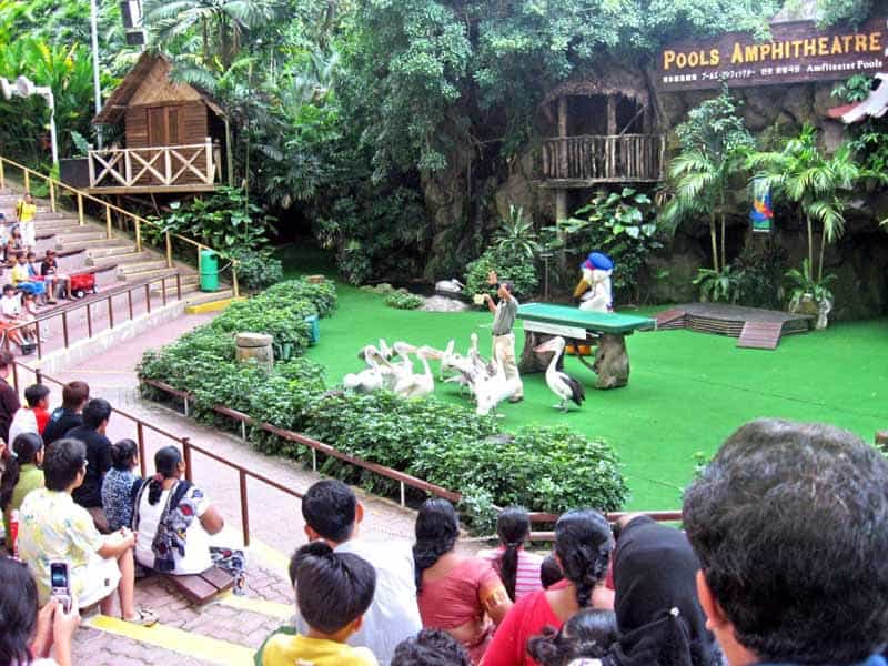 Jurong Bird Park