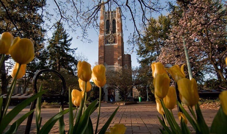 10 Best Universities In USA For MS Michigan State University