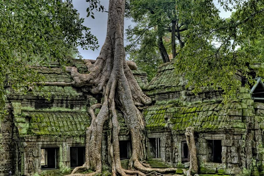 Angkor Wat, Cambodia, ancient temple, steeped in culture and history