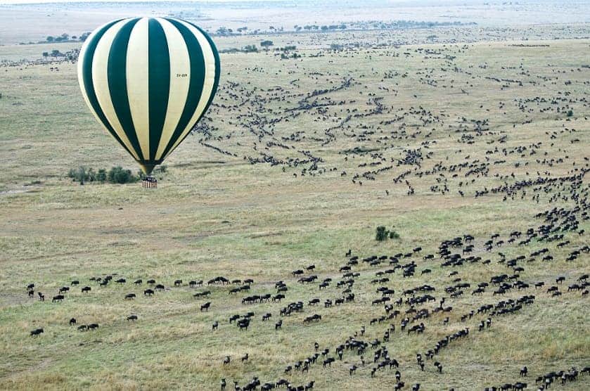 Hot air balloon safari kenya wildebeest migration