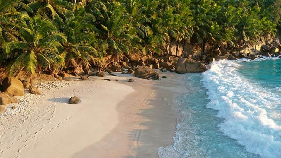 Seychelles, white sandy beach and white surf, fringed by rocks and coconut trees