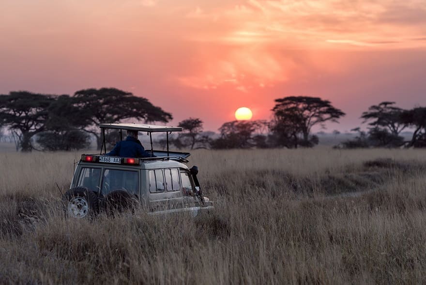 Tanzania Wildlife Safari, Serengeti