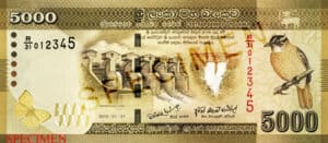 At the centre of the LKR 5000 note, drawings of two dams appear. The one on the left is the Weheragala Dam. The image on the right is the Canyon Dam. The bird to the right is the Sri Lankan Yellow-Eared Bulbul and the butterfly to the left is the Lemon Migrant.